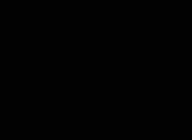 douga